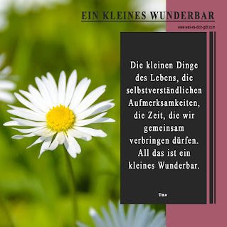 Die kleinen Dinge des Lebens - kleines Wunderbar - Gedicht