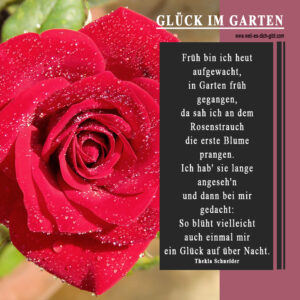 Gedicht über Glück und Rosen Garten
