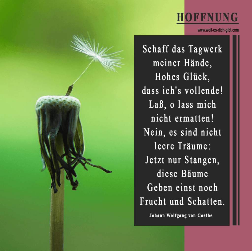 Gedicht über Hoffnung von Johann Wolfgang von Goethe