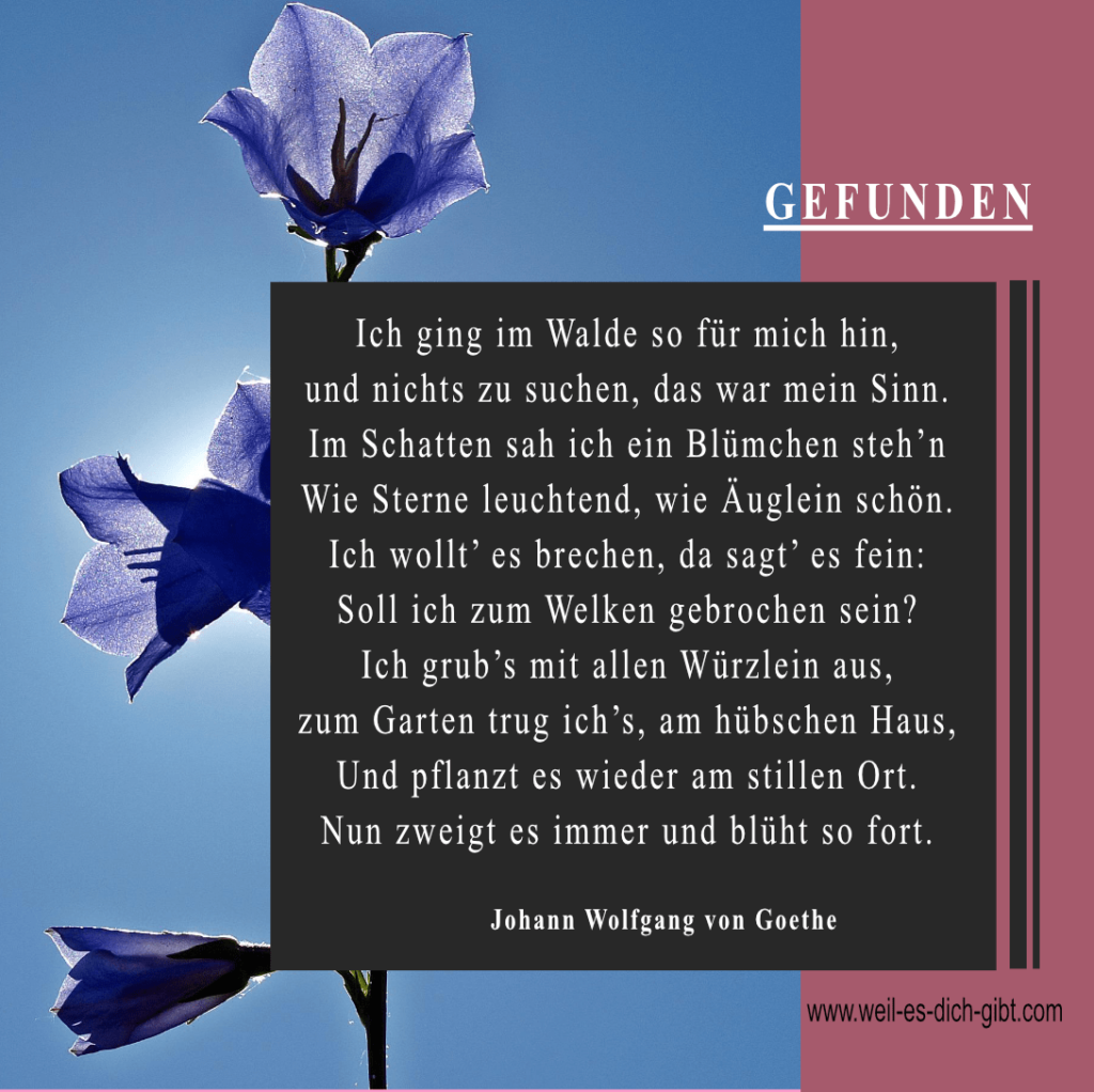 Gefunden - ein Gedicht von Johann Wolfgang von Goethe