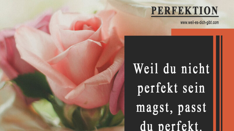 Spruch: Weil du nicht perfekt