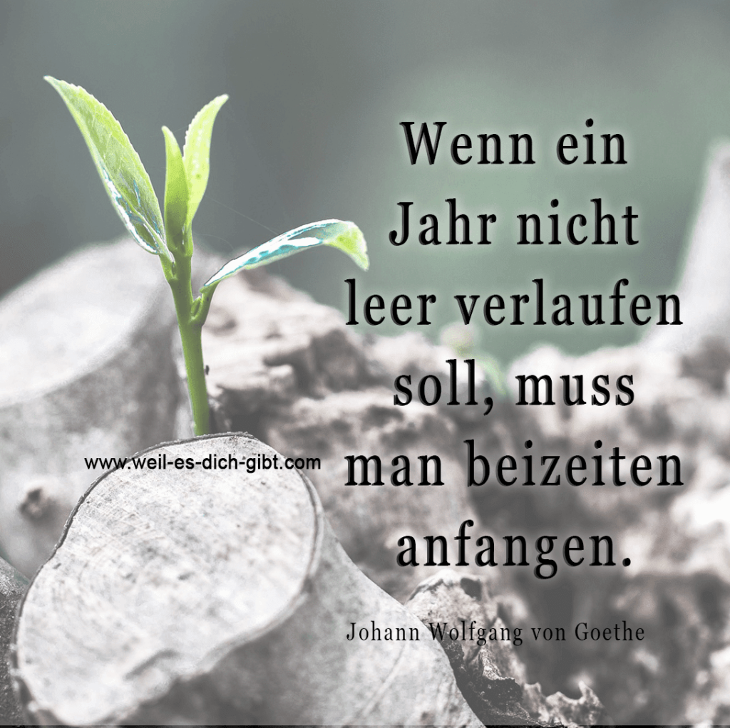 Anfang - Jahr - Zitat von Johann Wolfgang von Goethe