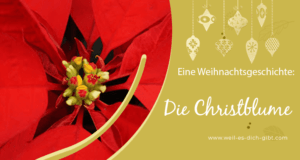 Christblume - eine Weihnachtsgeschichte