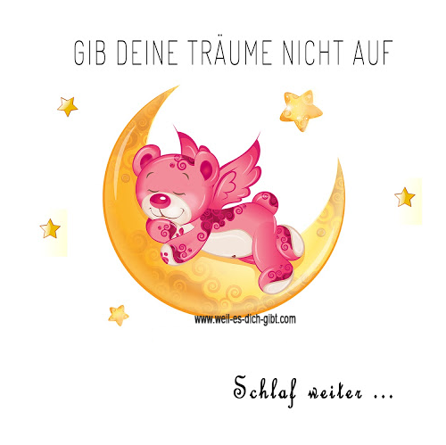 Ein süßer, pinker Teddybär schläft auf einem Halbmond. Über dem Bild steht der Spruch: "Gib deine Träume nicht auf - schlaf weiter!" auf weißem Hintergrund.