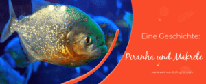 Kurze Geschichte: Piranha und Makrele