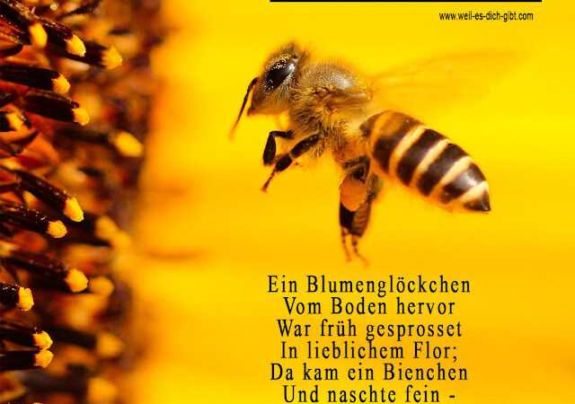 Ein Blumenglöcklein und die Biene - ein Gedicht von Johann Wolfgang von Goethe