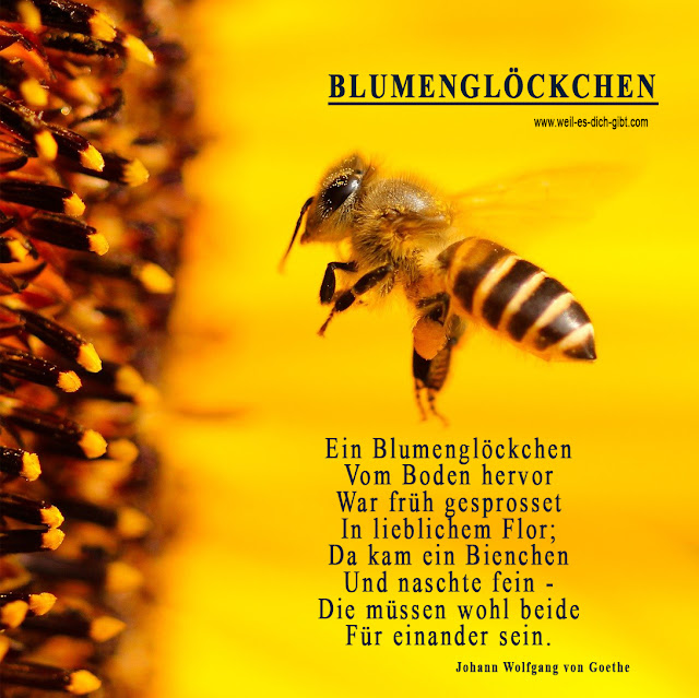 Ein Blumenglöcklein und die Biene - ein Gedicht von Johann Wolfgang von Goethe