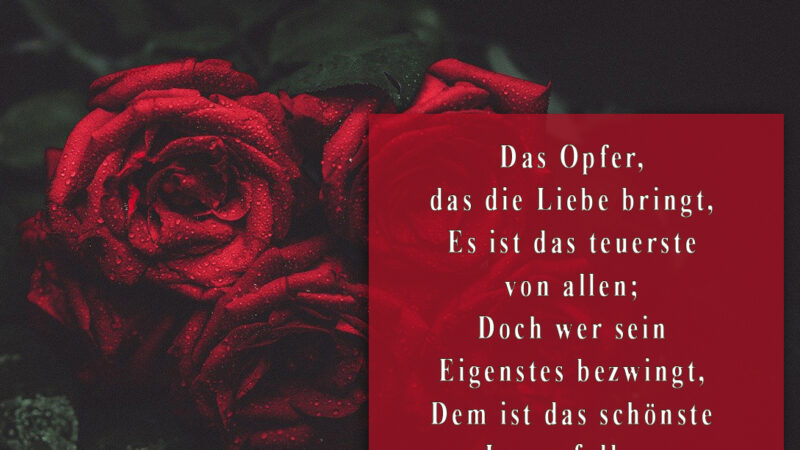 Gedicht - Opfer der Liebe - Johann Wolfgang von Goethe