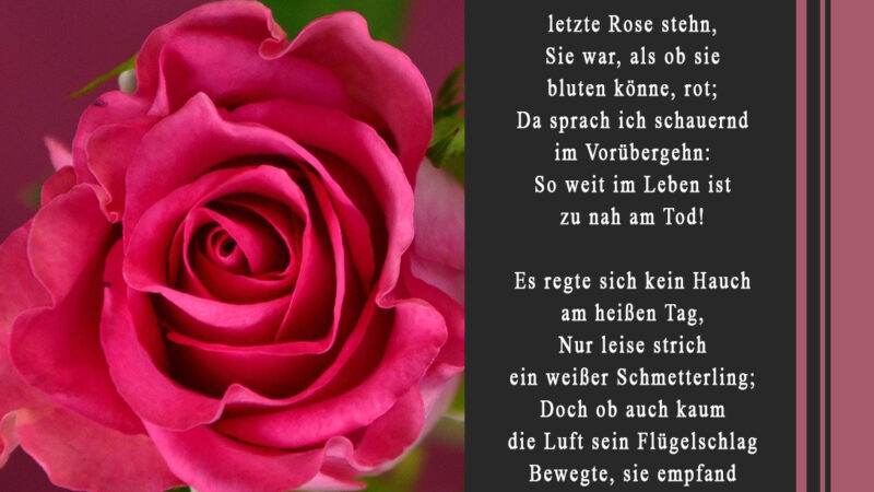 Gedicht von Friedrich Hebbel - Sommerbild