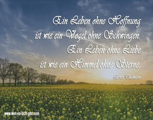 Leben ohne Hoffnung -Spruch