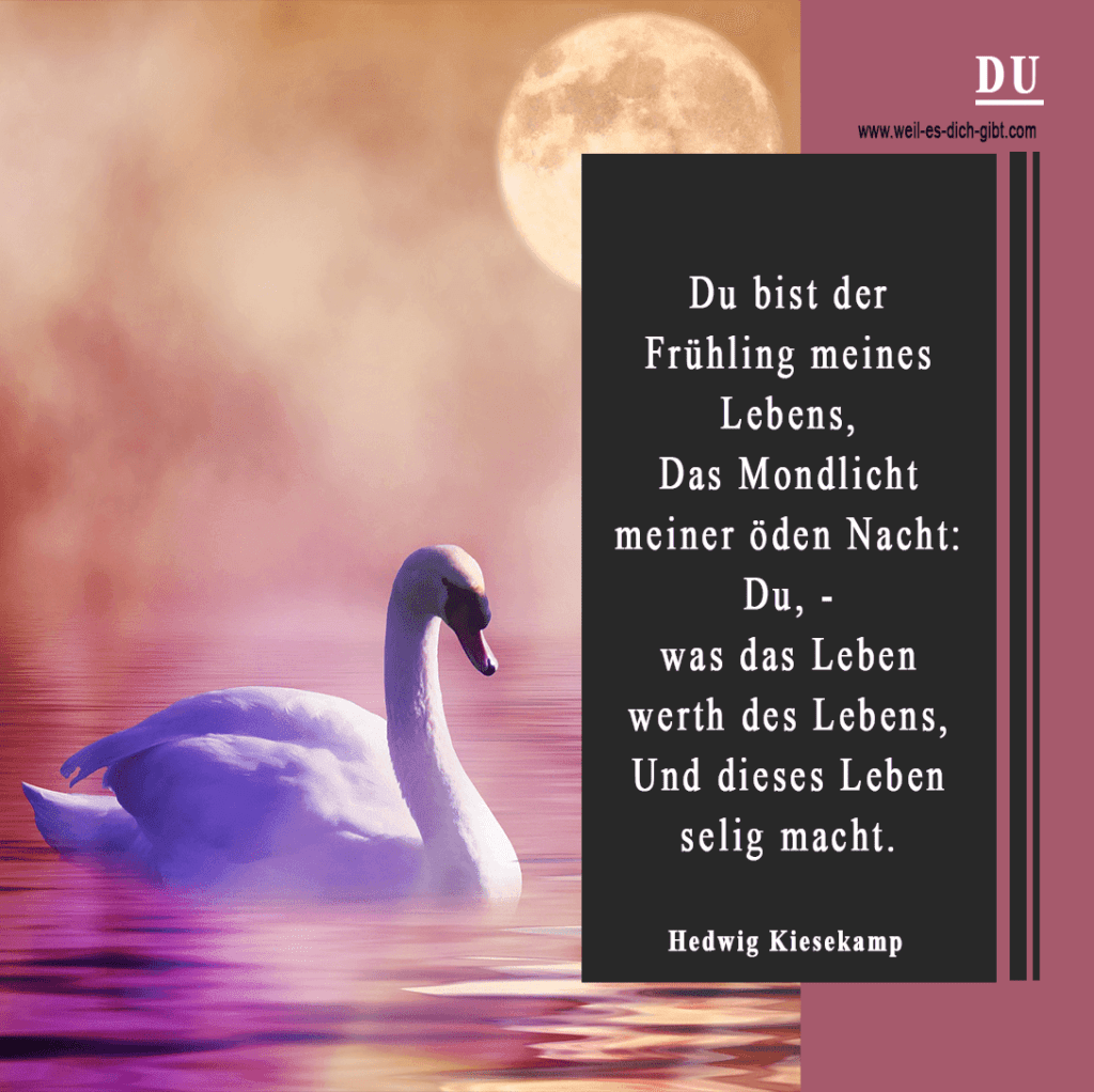 Ein weißer Schwan schwimmt auf einem See bei Vollmond. Ein Gedicht von Hedwig Kiesekamp zitiert die romantischen Gefühle, die mit einem geliebten Menschen assoziiert werden.