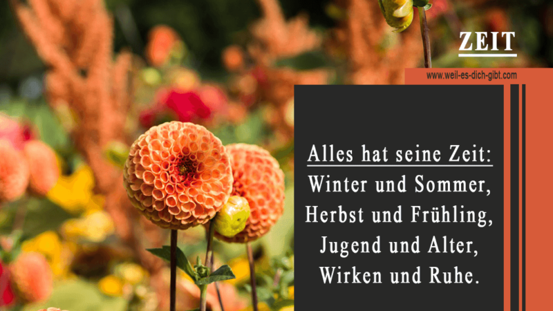 Zitat -Zeit - Sommer - Frühling - Gottfried Herder - Zitat