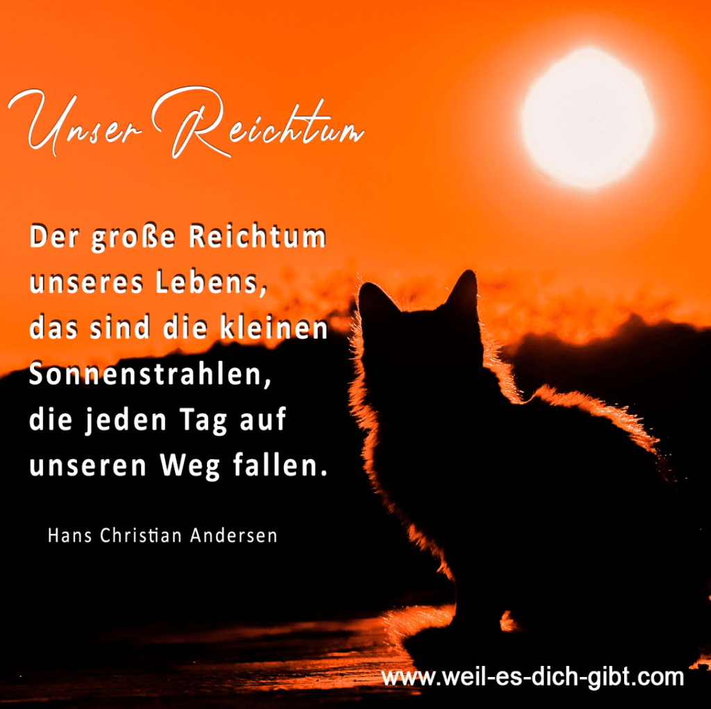 Reichtum des Lebens - Sonnenstrahlen - Zitat von Hans Christian Andersen