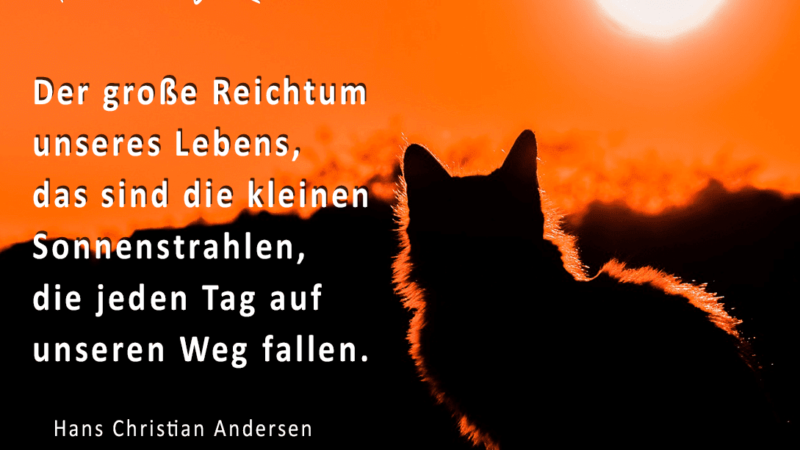 Reichtum des Lebens - Sonnenstrahlen - Zitat von Hans Christian Andersen