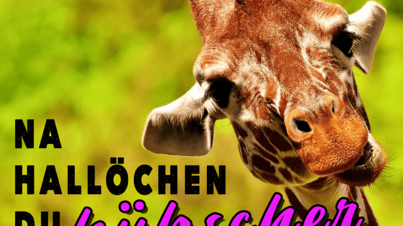 Hallo - Liebe Grüße - mit Giraffe