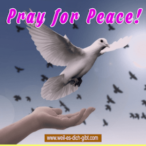Pray for peace - Bildspruch