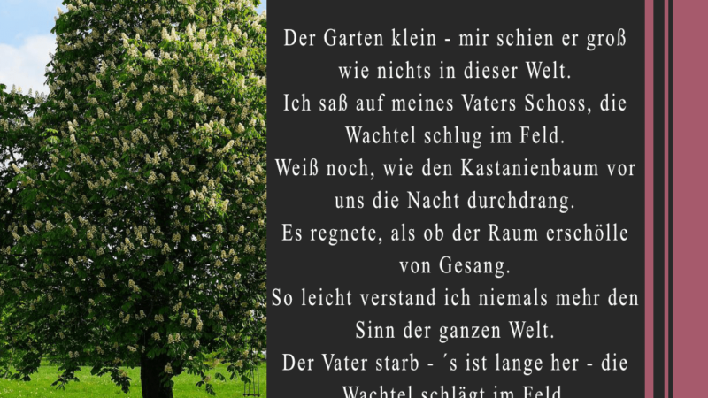 Garten klein - Abschied - Vater - Kindheit - Gedicht - Jürgen Eggebrecht