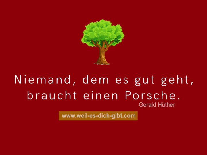 Niemand, dem es gut geht - braucht Porsche - Zitat von Gerald Hüther