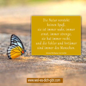 Natur - Spaß - Zitat - Wolfgang Johann von Goethe