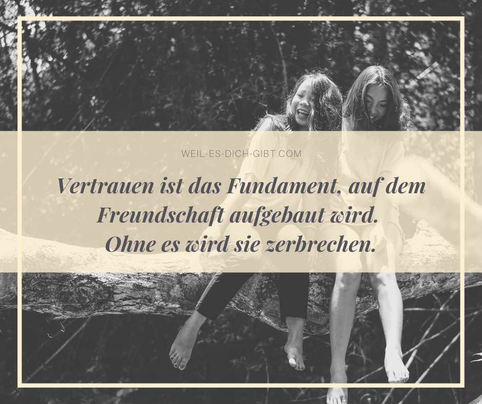 Das Bild zeigt einen Spruch über Freundschaft und Vertrauen und <a href='https://ich-liebe-dich-so-sehr.de/tips_categories/ich-liebe-dich-sprueche' target='_blank'>zwei</a> lachende und fröhliche Freunde im Hintergrund 