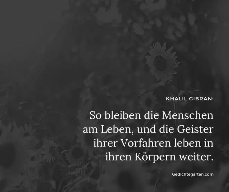 Die Suche nach Individualität in „Die rebellischen Seelen“ von Khalil Gibran 🌹✨