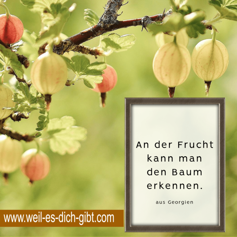 „An der Frucht kann man den Baum erkennen.“ – Eine georgische Weisheit über Charakter und Taten