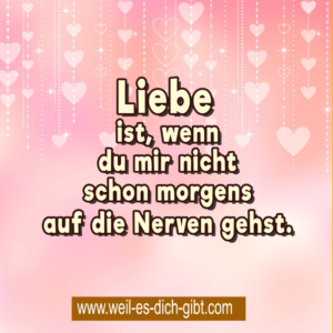 „Liebe ist, wenn du mir schon morgens nicht auf die Nerven gehst.“ – Eine humorvolle Definition von echter Zuneigung