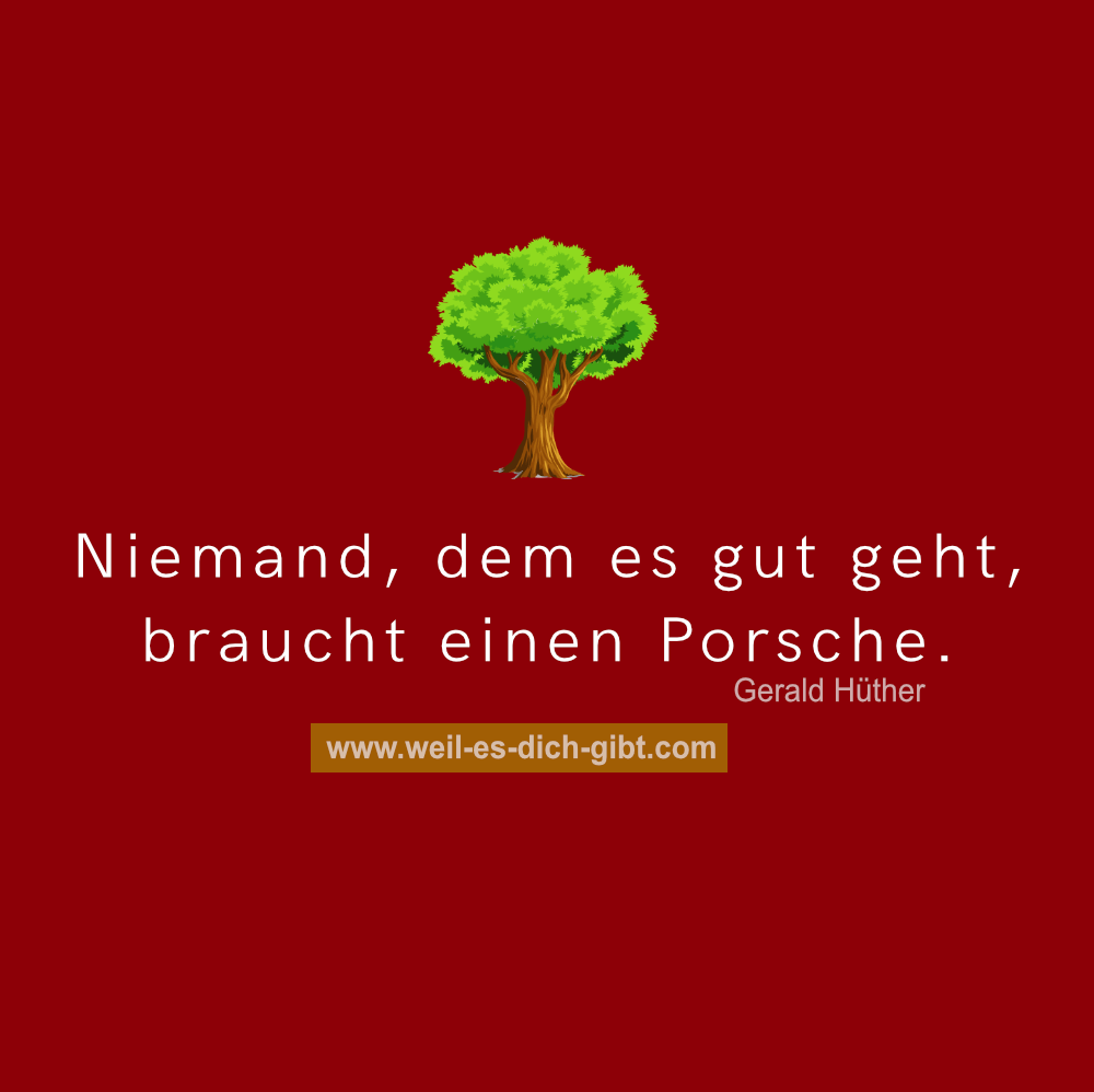 niemand dem es gut geht braucht porsche zitat gerald huether min