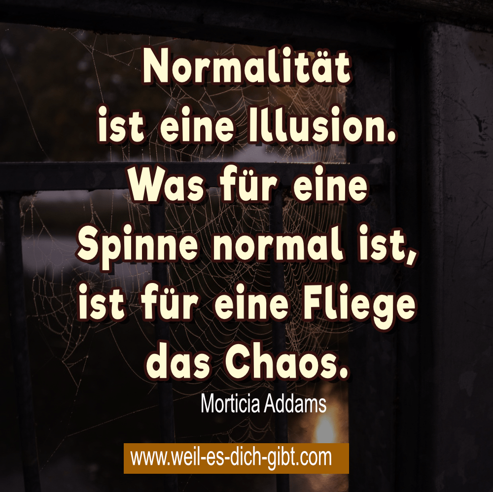 normal illusion spinne fliege morticia addams spruch