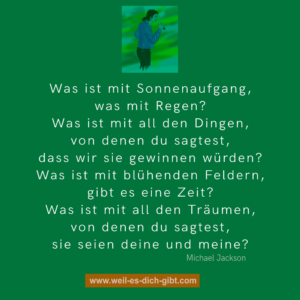 „Was ist mit dem Sonnenaufgang? Was ist mit dem Regen?“ – Michael Jacksons Botschaft in Earth Song