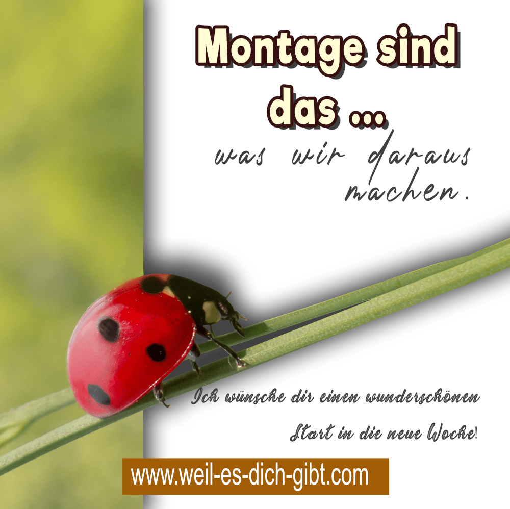 wunderschoenen start woche montag spruch min