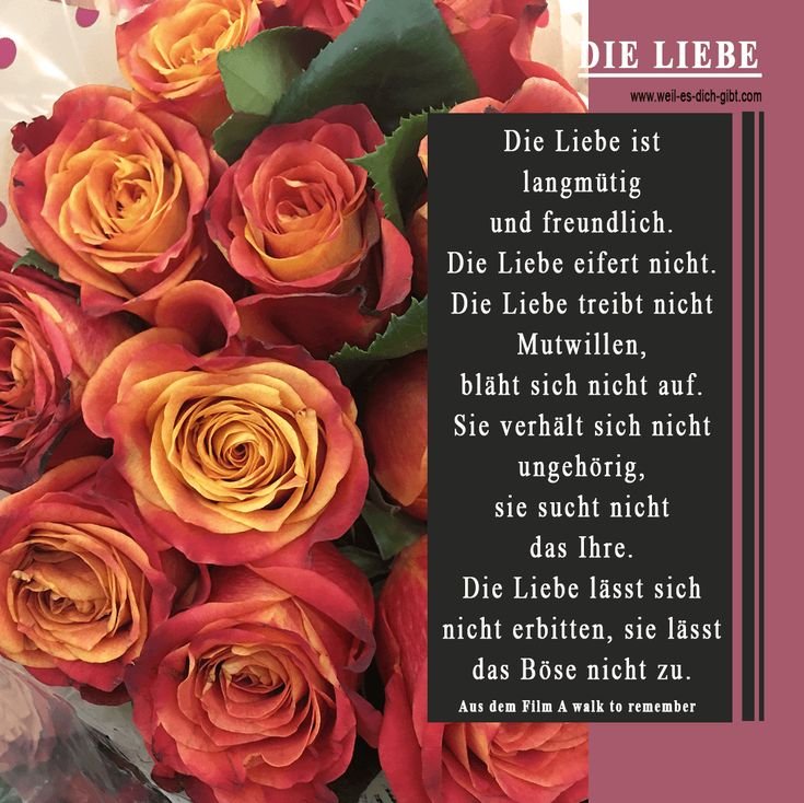 💖 Die Liebe ist … | Die bekannteste Liebesdefinition aus dem 1. Korintherbrief – zeitlos & tief bewegend