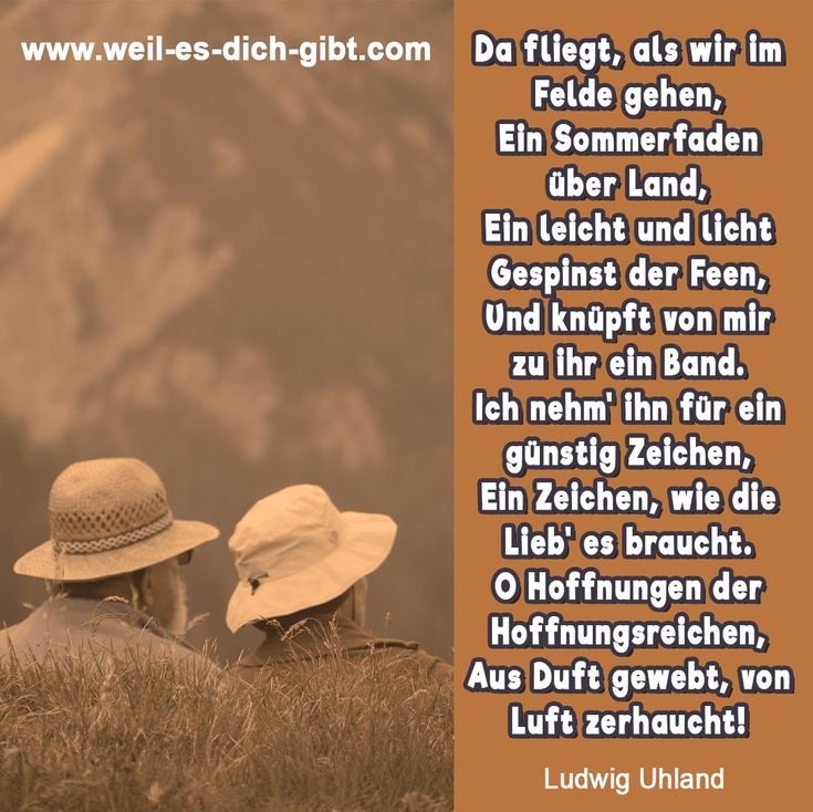 🕊️ Da fliegt, als wir im Felde gehen – Ludwig Uhland über Liebe, Zeichen und vergängliche Hoffnung