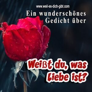 💖 Weißt du, was Liebe ist? | Ein poetischer Liebesgruß – Weil es dich gibt