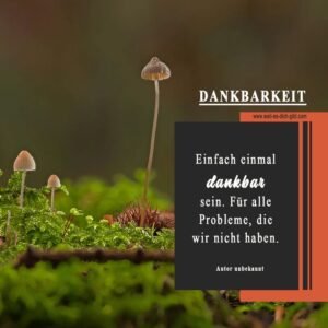 🍃 Einfach einmal dankbar sein – Für all das, was wir nicht durchmachen müssen
