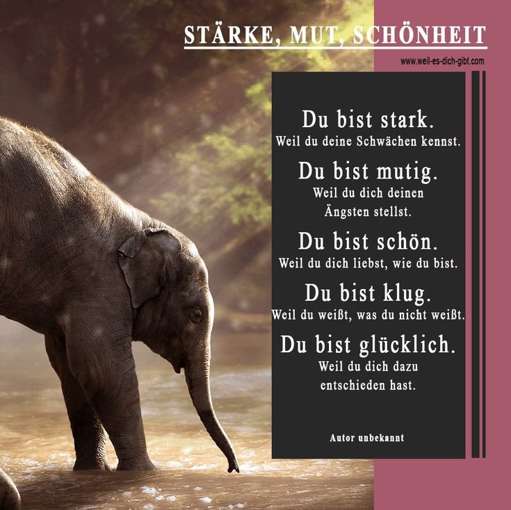 Du bist 🐯 stark Weil du deine Schwaechen kennst. Du bist mutig. Weil du dich deinen Aengsten stellst 😍 Weil es dich gibt
