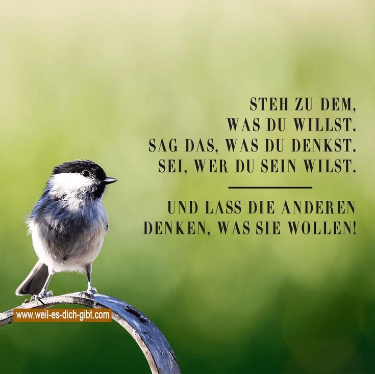 💬 Steh zu dem, was du willst. Sag das, was du denkst. Sei, wer du sein willst. Und lass die anderen denken, was sie wollen!