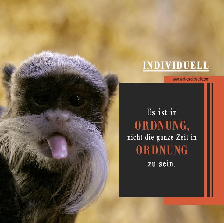 🐞 Sei du selbst Sprueche und Zitate 😍 Weil es dich gibt