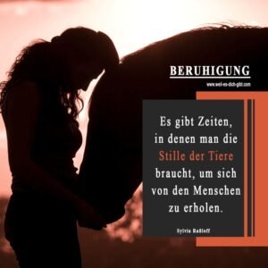 🐾 Wenn Tiere heilen: Warum wir manchmal ihre Stille brauchen