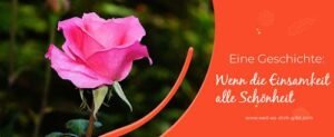Die einsame Rose und die Bienen – Eine berührende Parabel über Hoffnung