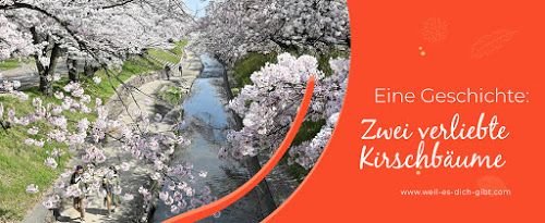 Zwei 💕 verliebte Kirschbaeume eine Zen Geschichte ueber die Liebe Fernbeziehungen Trennungen Herzschmerz 😍 Weil es dich gibt