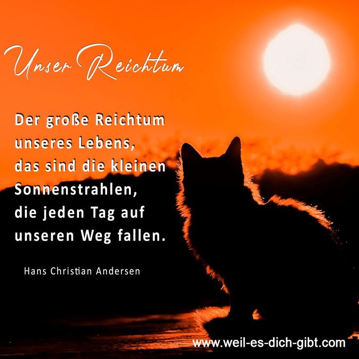 ☀️ Sonne Sonnenstrahlen Hans Christian Andersen Zitat 😍 Weil es dich gibt