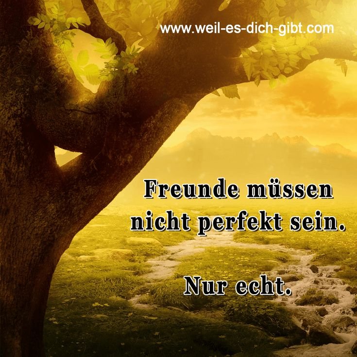 ❤️ Freunde Sprueche Zitate Perfekt Echte Freunde 😍 Weil es dich gibt