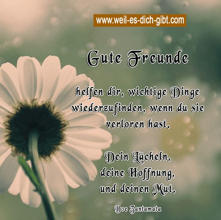 Gute Freunde erinnern dich daran, wer du bist – wenn du dich selbst verloren hast