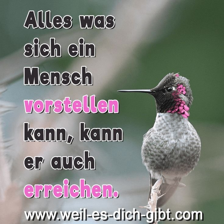 ❤️ Vorstellen Mensch Ziele Spruch 😍 Weil es dich gibt