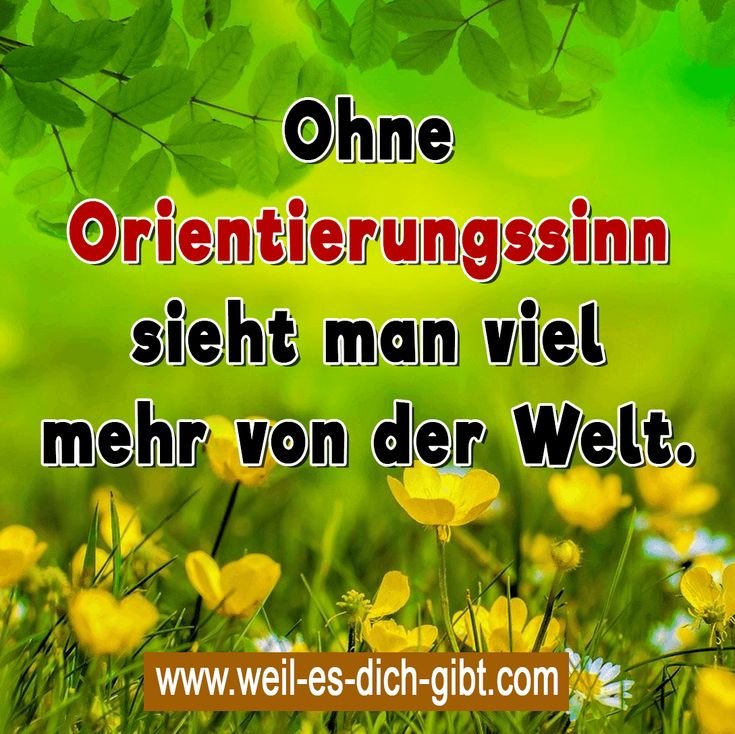 Ohne Orientierungssinn sieht man viel mehr von der Welt.