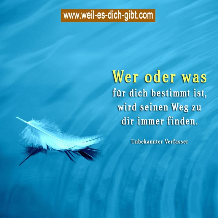 Wer oder was für dich bestimmt ist, wird seinen Weg zu dir immer finden
