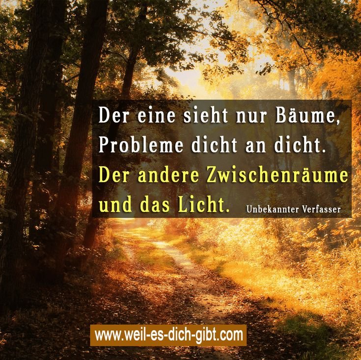 🌲 Baeume und Zwischenraeume Probleme Leben Achtsamkeit 😍 Weil es dich gibt