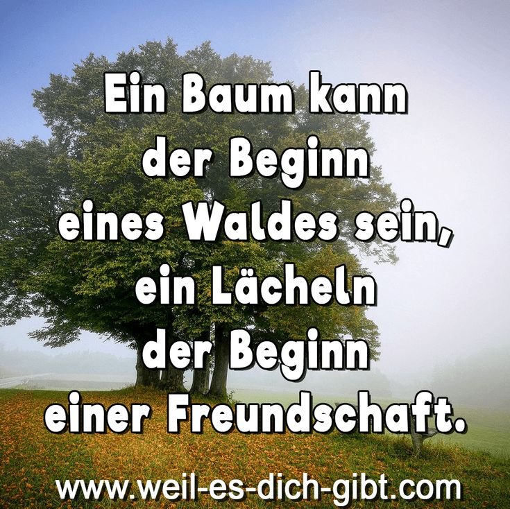 🌳 Ein Baum kann der Beginn eines Waldes sein – ein Lächeln der Beginn einer Freundschaft