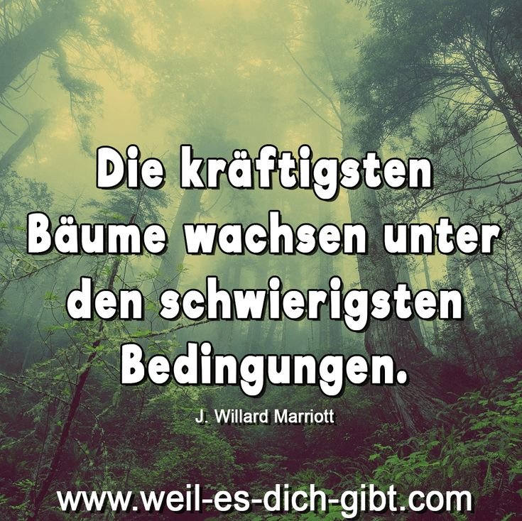 Die kräftigsten Bäume wachsen unter den schwierigsten Bedingungen – J. Willard Marriott